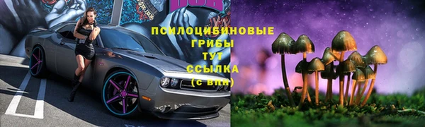 мескалин Балахна