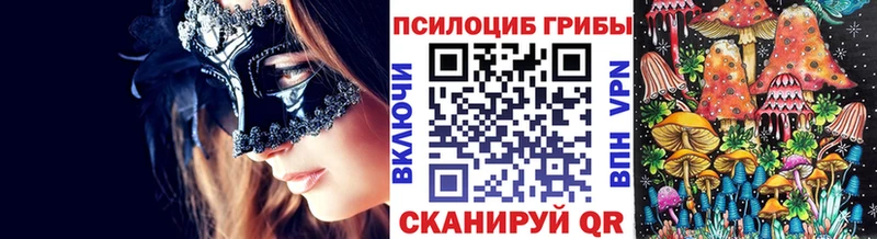 купить наркоту  Новоржев  Галлюциногенные грибы прущие грибы 